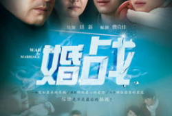 电视剧婚战,爱恨交织的婚姻较量